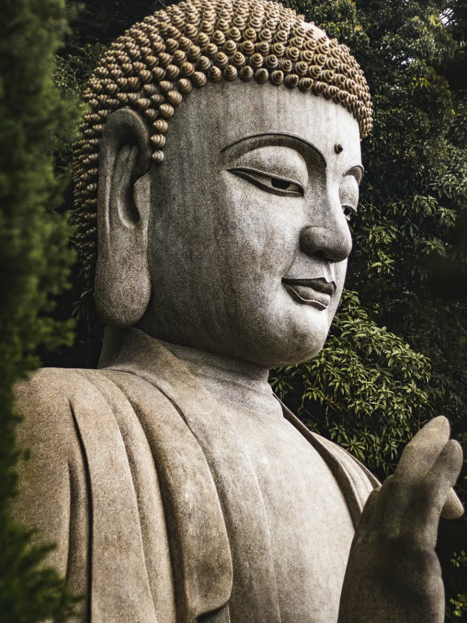 Picture of monk